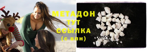 шишки Новодвинск