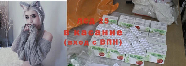 шишки Новодвинск