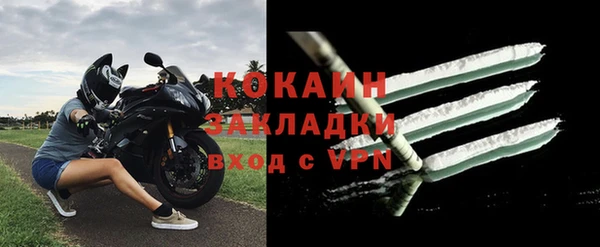 шишки Кирсанов