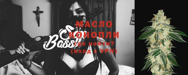 шишки Новодвинск