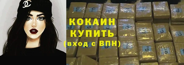 шишки Новодвинск