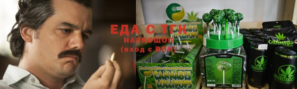 шишки Новодвинск