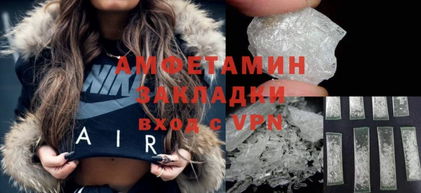 шишки Новодвинск