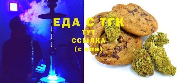шишки Новодвинск