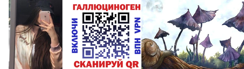 mega как войти  Ковдор  Галлюциногенные грибы Psilocybe  где найти наркотики 