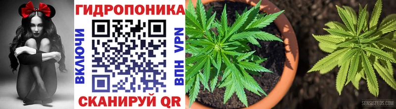 дарк нет формула  Ковдор  Марихуана марихуана  как найти закладки  mega tor 